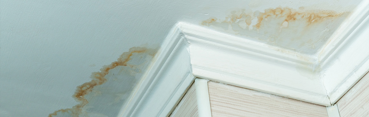 Water Leakage Repair Near Me in Mumbai | Professional Leak Fix